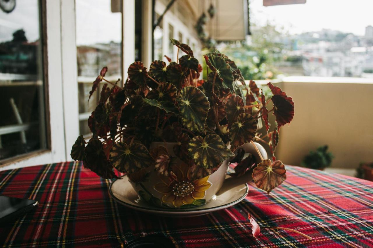 Rock Cliff Home Stay Shillong Dış mekan fotoğraf