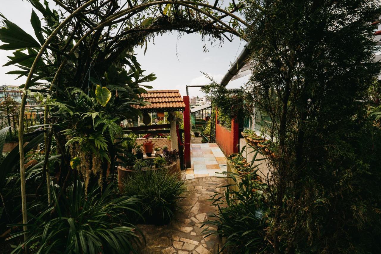 Rock Cliff Home Stay Shillong Dış mekan fotoğraf