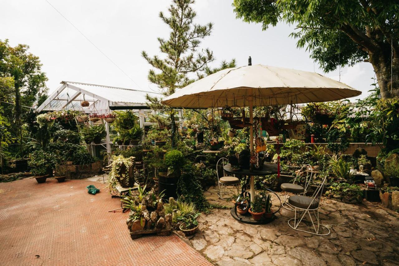 Rock Cliff Home Stay Shillong Dış mekan fotoğraf